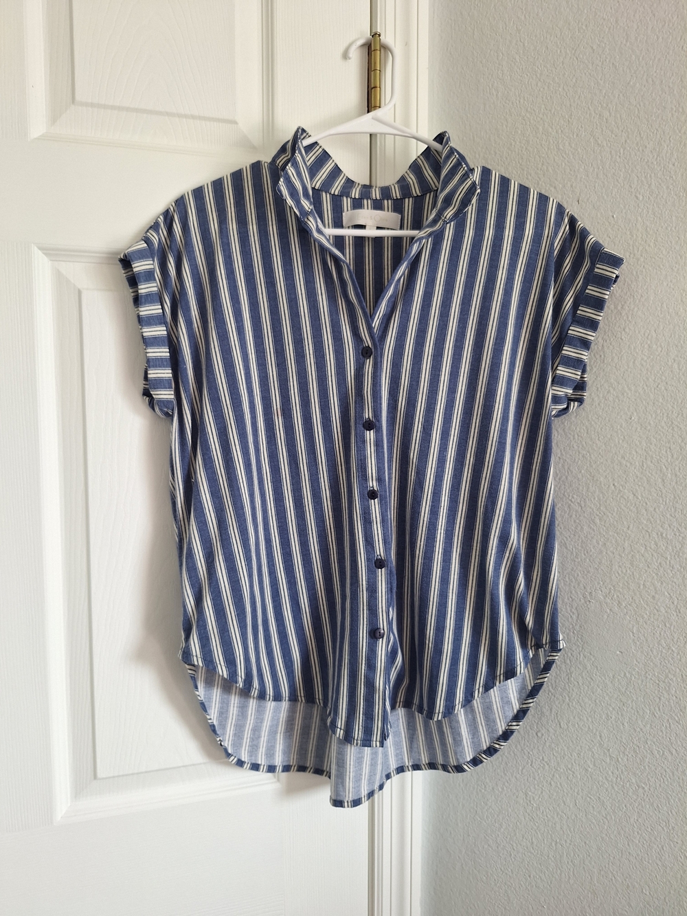 Eden & Olivia Blue and White Vertical-Stripe Button Down Shirt